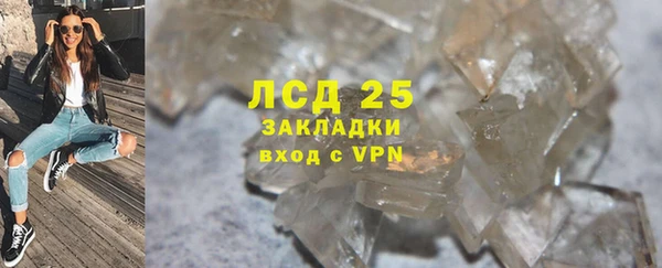 индика Богородицк