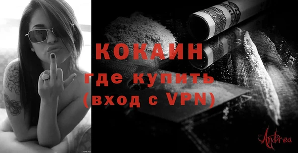 дмт Богородск
