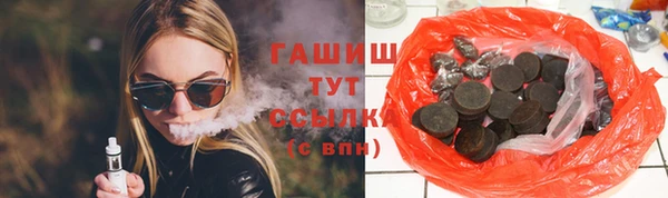 индика Богородицк