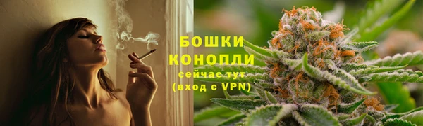 дмт Богородск
