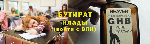 индика Богородицк