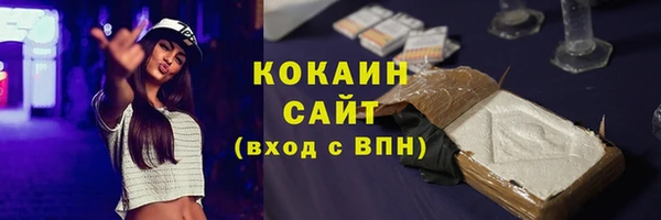 индика Богородицк