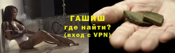 индика Богородицк