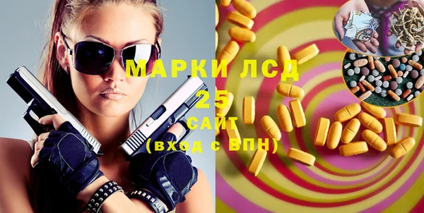 индика Богородицк