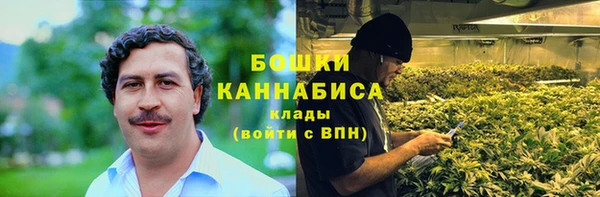 прущие грибы Бутурлиновка