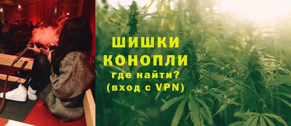 индика Богородицк