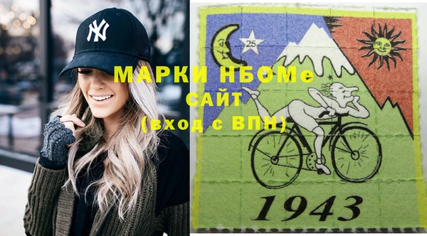 индика Богородицк