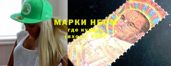 индика Богородицк